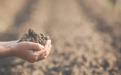 Applying the Soil Health Principles to Fit Your Operation