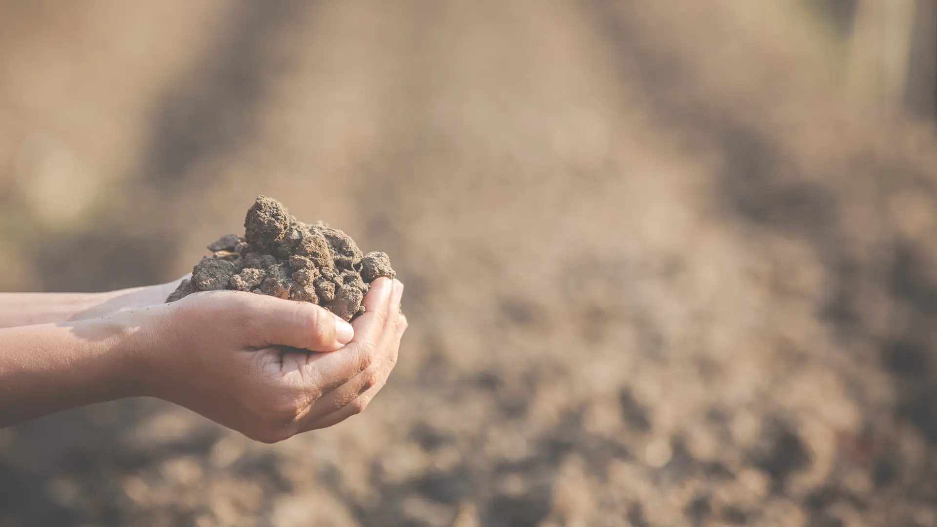 Wheeler Consulting | Blog | Applying the Soil Health Principles to Fit Your Operation