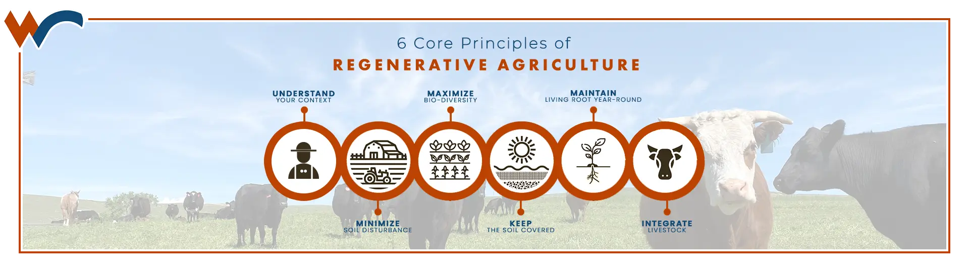 Wheeler Consulting | Services | Regenerative Agriculture